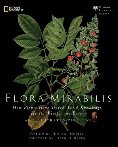 Flora mirabilis how plants - how,