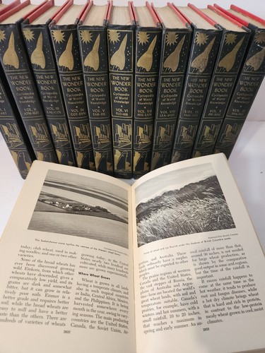 The new wonder book - new,