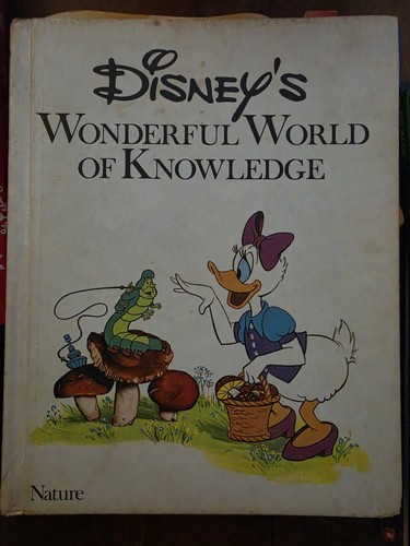 Disney wonderful world of - disney's,
