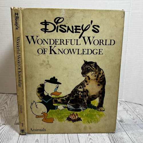 Disneys wonderful world - disneys,